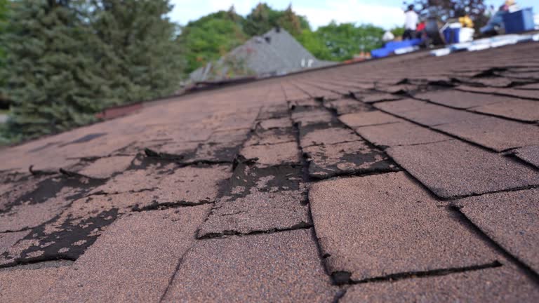 Professional Roofing Service in Newfield, NJ